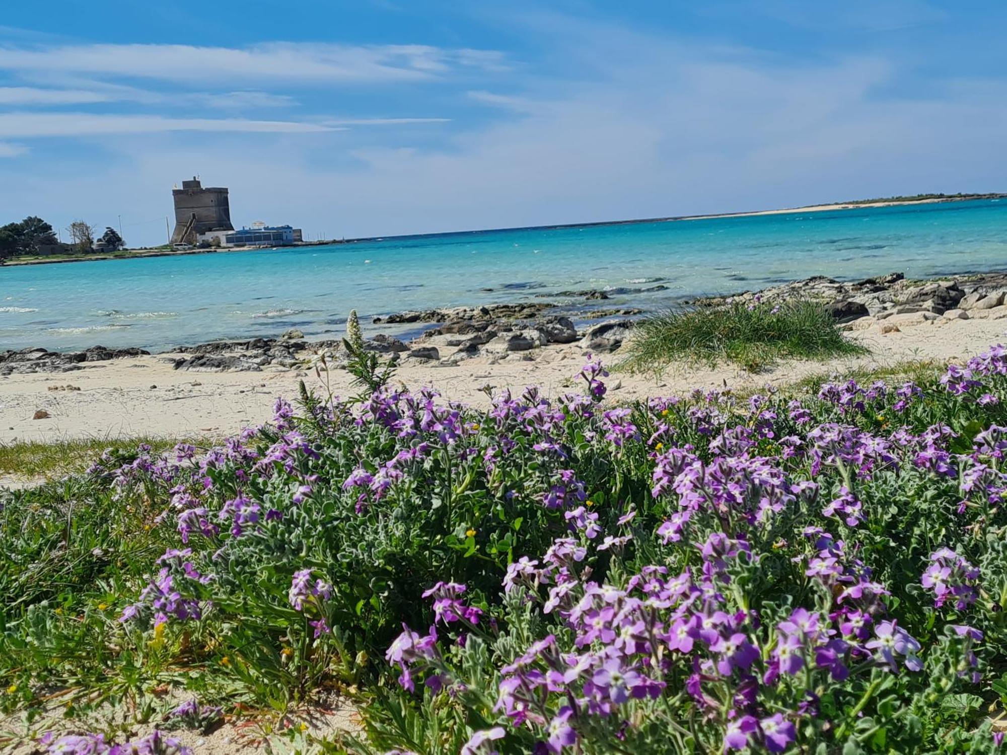 Vila Piccola Residenza Marina Sant Isidoro  Exteriér fotografie