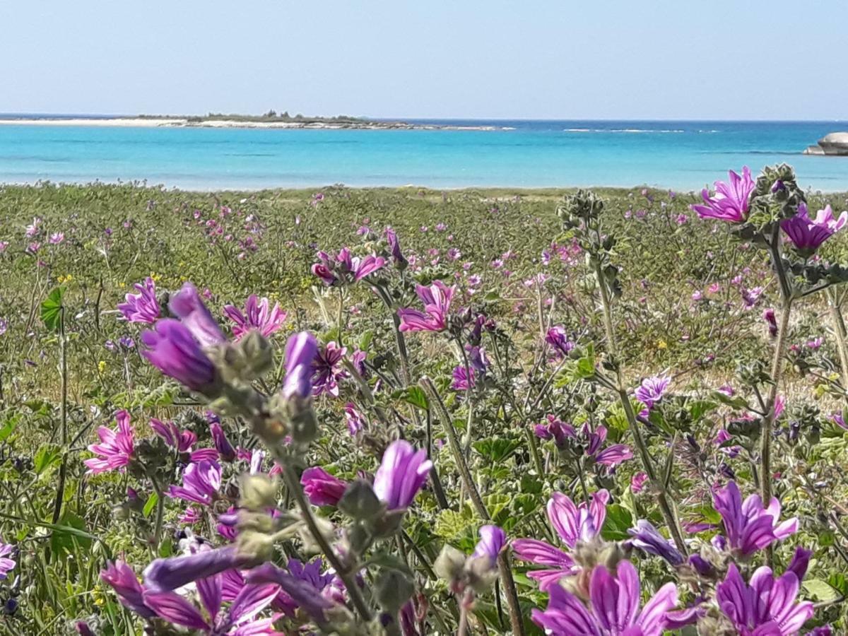 Vila Piccola Residenza Marina Sant Isidoro  Exteriér fotografie